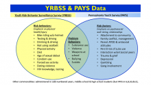 YRBSS compared to PAYS data