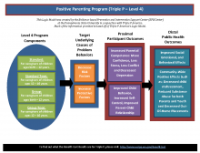 Graphic image of Positive Parent Program/Triple P Logic Model that outlines the program components, target areas and outcomes expected from program implementation