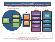 Graphic image of Multisystemic Therapy Logic Model that outlines the program components, target areas and outcomes expected from program implementation