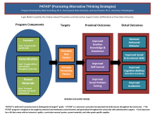 Graphic image of PATHS Model that outlines the program components, target areas and outcomes expected from program implementation